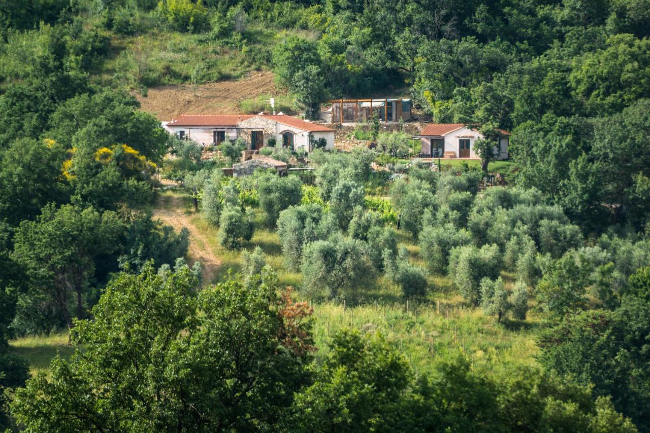 Agriturismo Fontenuova Apartamento Saturnia Exterior foto